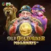 Old Gold Miner Megaways