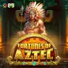 Fortunes of Aztec™