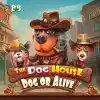 The Dog House – Dog or Alive