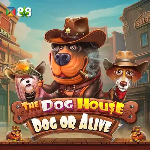 The Dog House – Dog or Alive