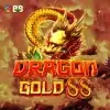 Dragon Gold 88