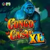 Congo Cash XL