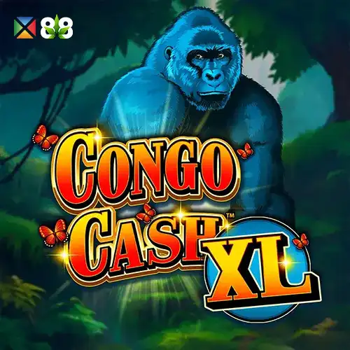 Congo Cash XL