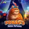 Fonzo’s Feline Fortunes