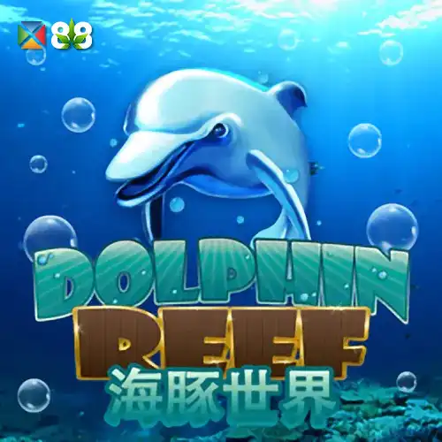 Dolphin Reef