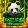 Lucky Panda