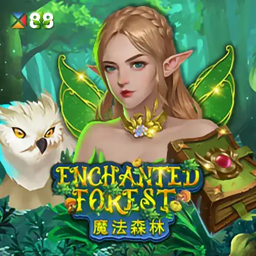 Enchanted Forest