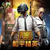 Pubg