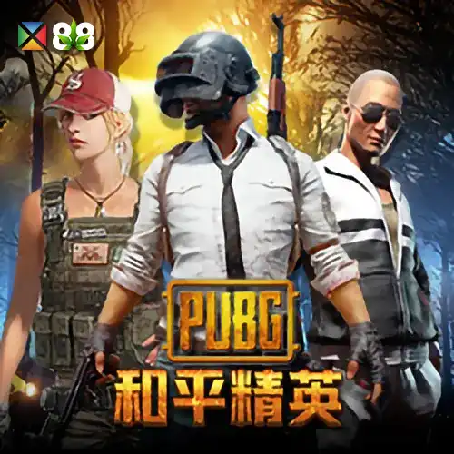 Pubg