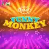Funny Monkey