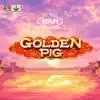 Golden Pig