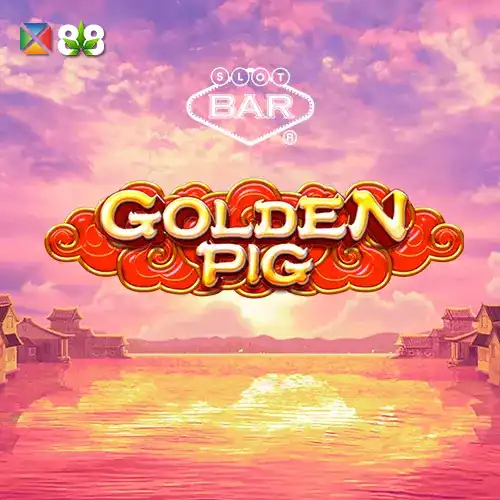 Golden Pig