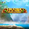 Panda Paradise