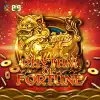 Rhythm Of Fortune