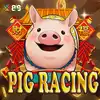 Pig Race