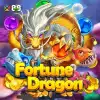 Fortune Dragon