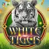 White Tiger