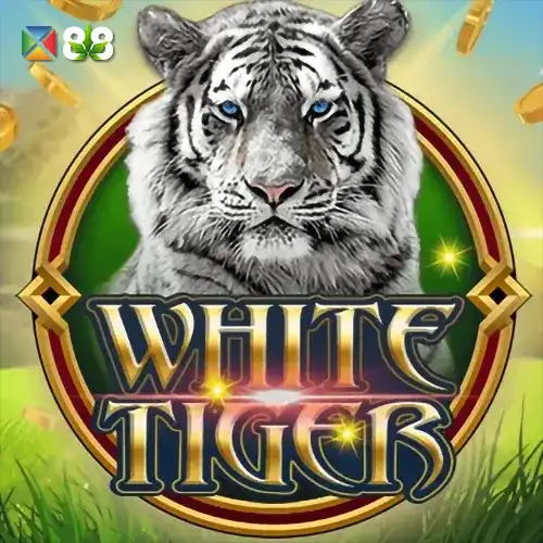 White Tiger