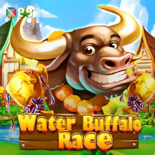 Water Buffalo Race