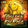 Golden Koi Rise