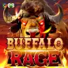 Buffalo Rage