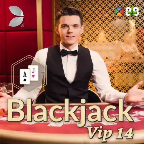 Blackjack VIP 14