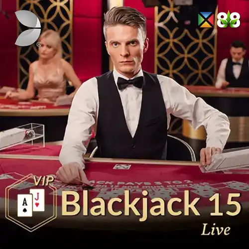 Blackjack VIP 15
