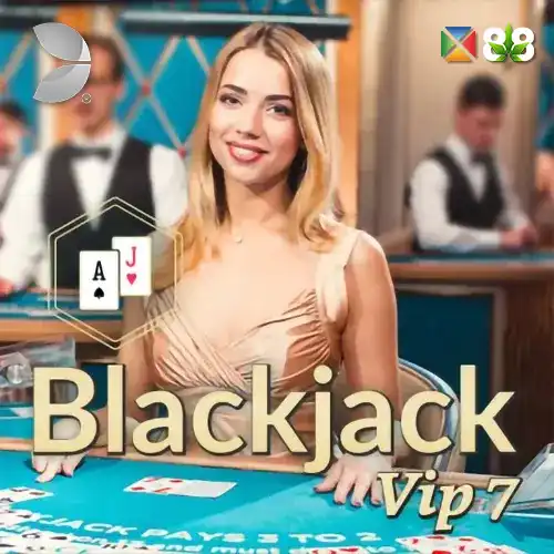 Blackjack VIP 7