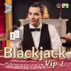 Blackjack VIP L