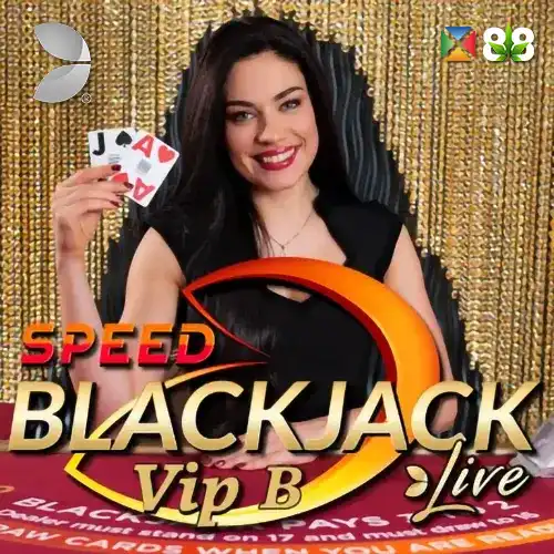 Speed VIP Blackjack B