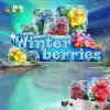 Winterberries