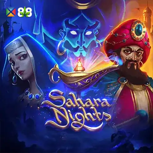 Sahara Nights