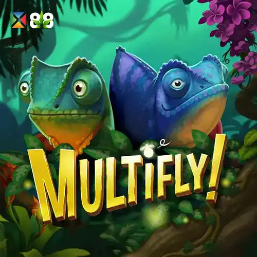 Multifly!
