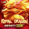 Royal Dragon Infinity Reels