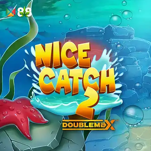 Nice Catch 2