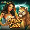 Exotic Cats