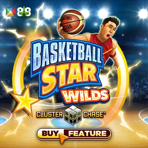 Basketball Star Wilds
