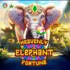 Heavenly Elephant Fortune