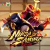 Ninja vs Samurai