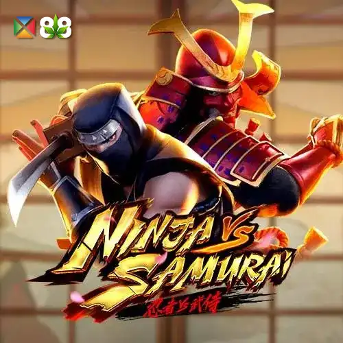 Ninja vs Samurai