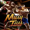 Muay Thai Champion