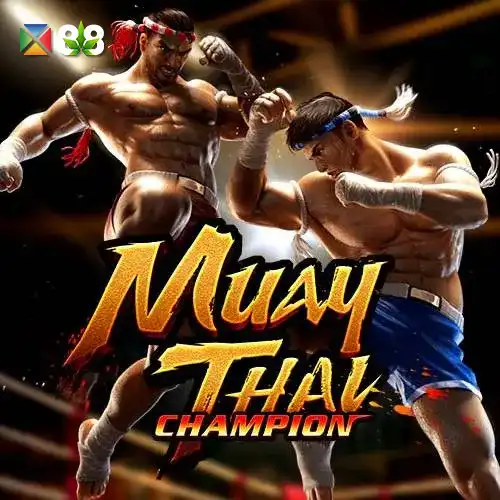 Muay Thai Champion