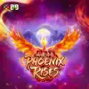Phoenix Rises