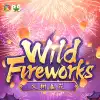 Wild Fireworks
