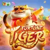 Fortune Tiger