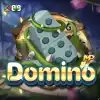 Domino