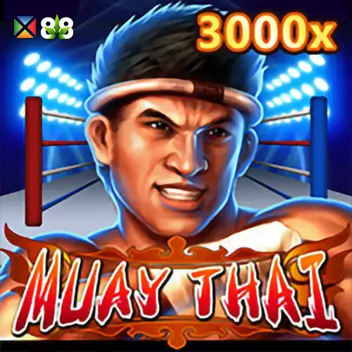 Muay Thai Champion