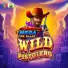 Mega Fire Blaze: Wild Pistolero