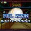 Full Moon: White Panda