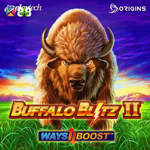 Buffalo Blitz II